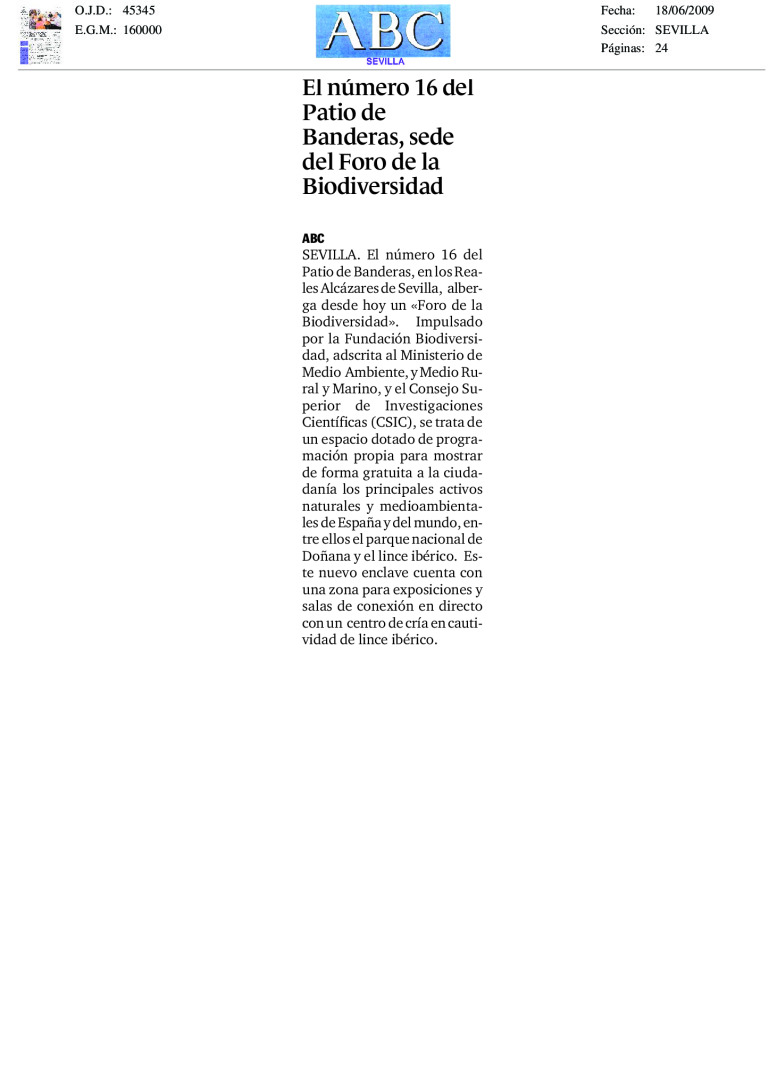 miniatura pdf
