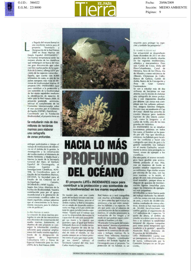 miniatura pdf