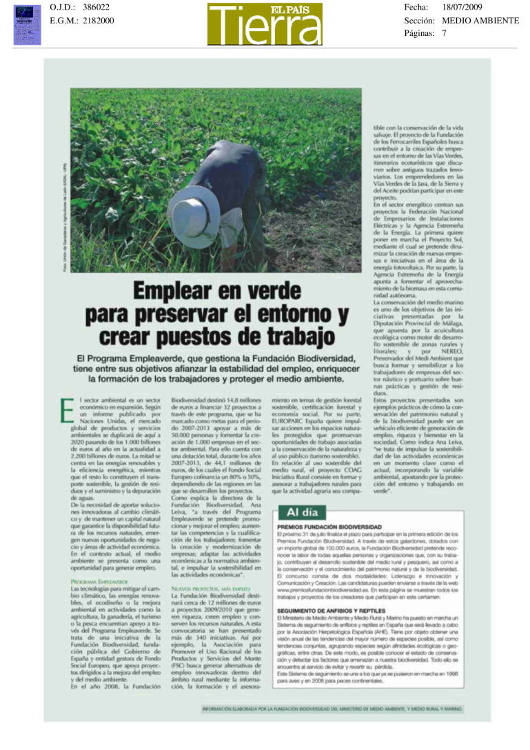 miniatura pdf