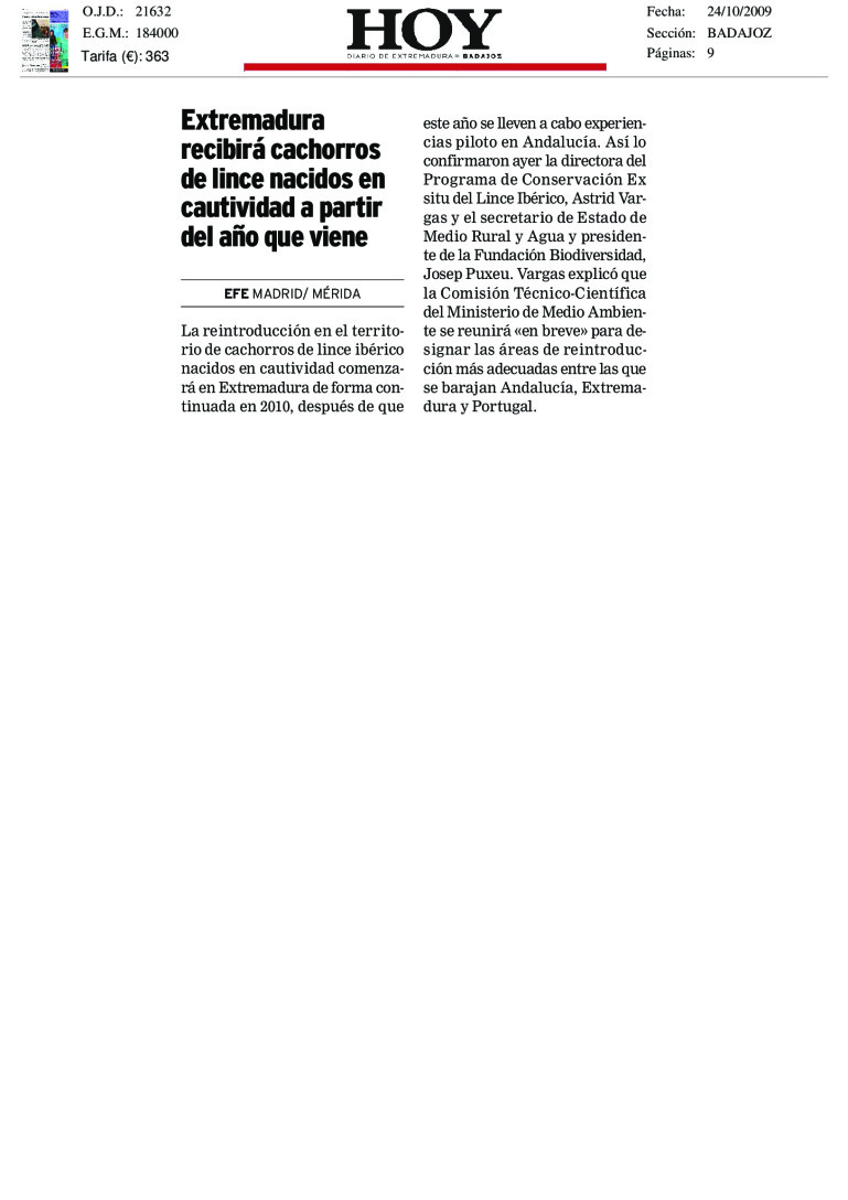 miniatura pdf