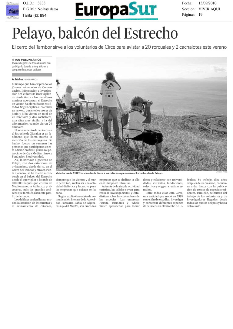 miniatura pdf