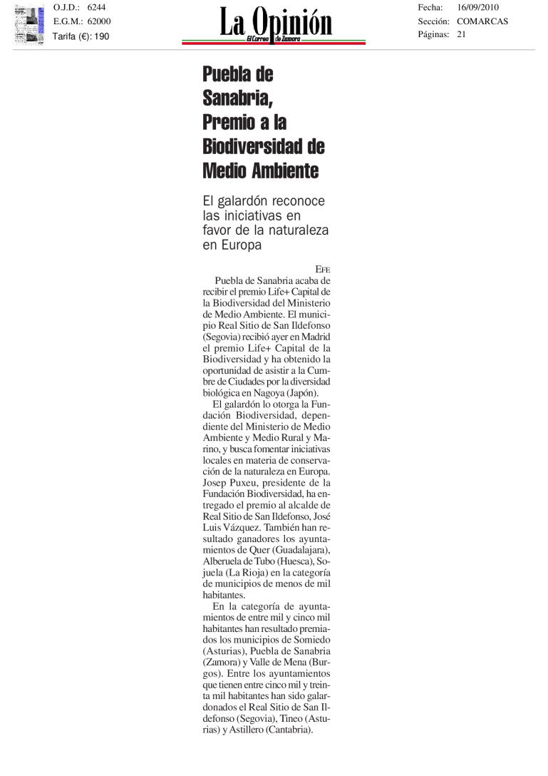 miniatura pdf
