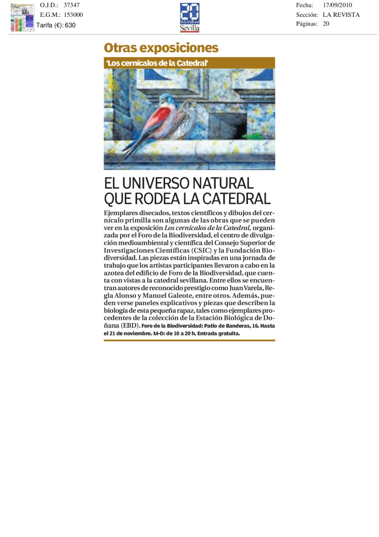 miniatura pdf