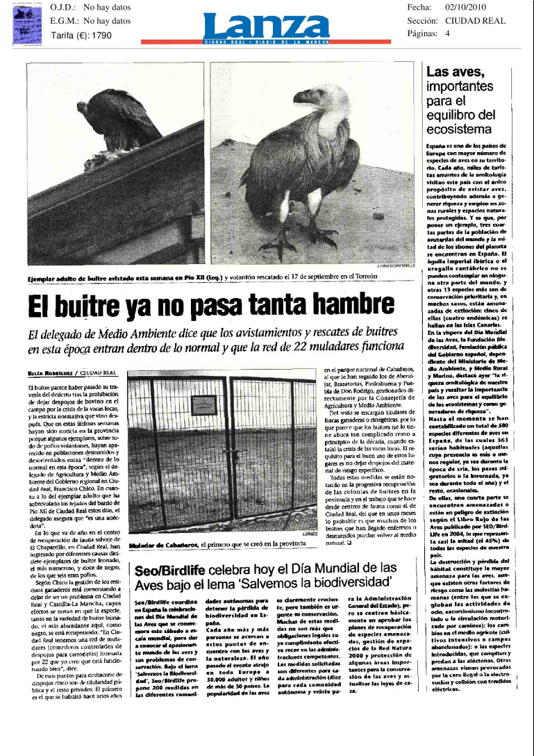 miniatura pdf