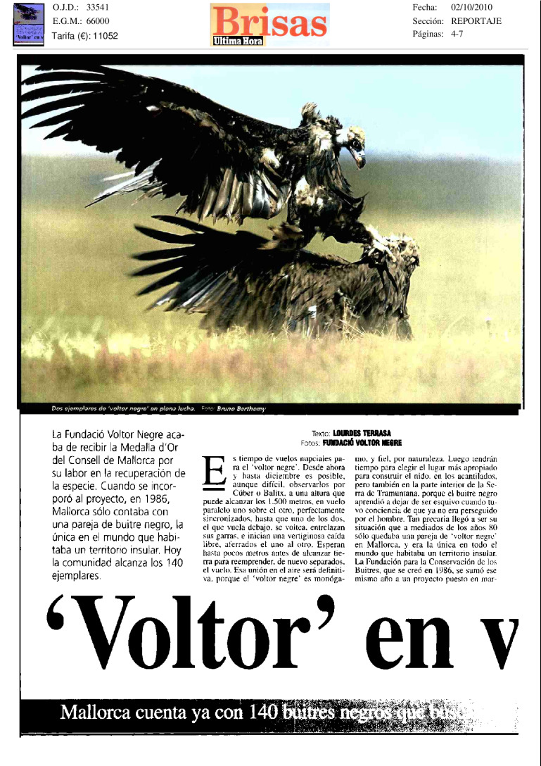 miniatura pdf