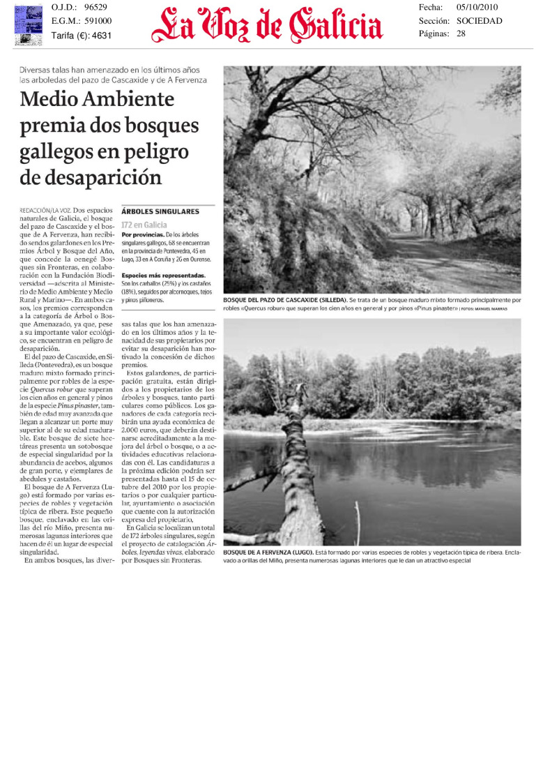 miniatura pdf