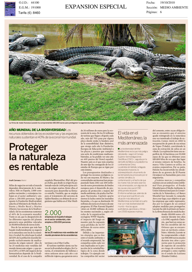 miniatura pdf