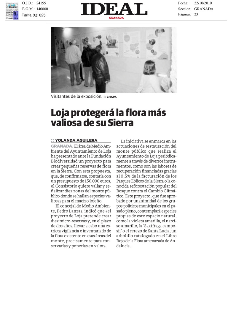 miniatura pdf