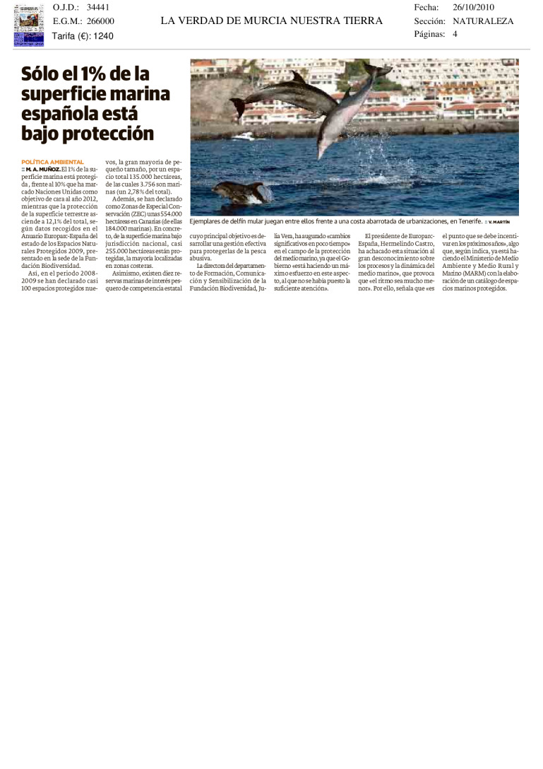 miniatura pdf