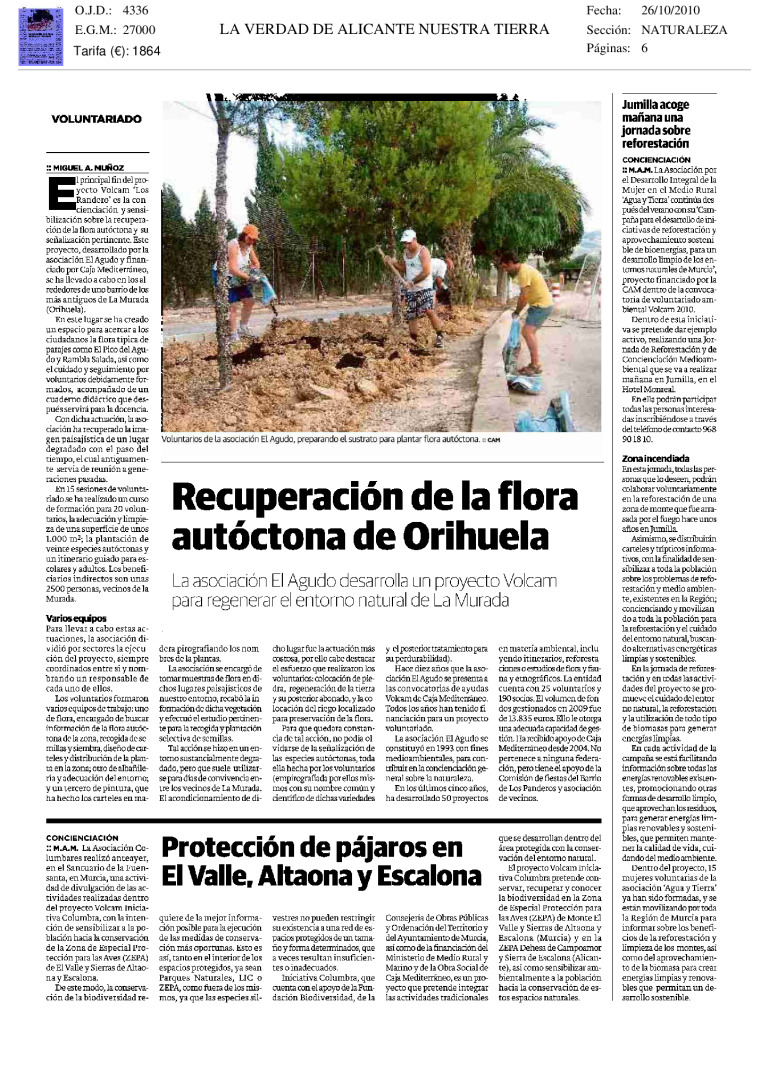 miniatura pdf