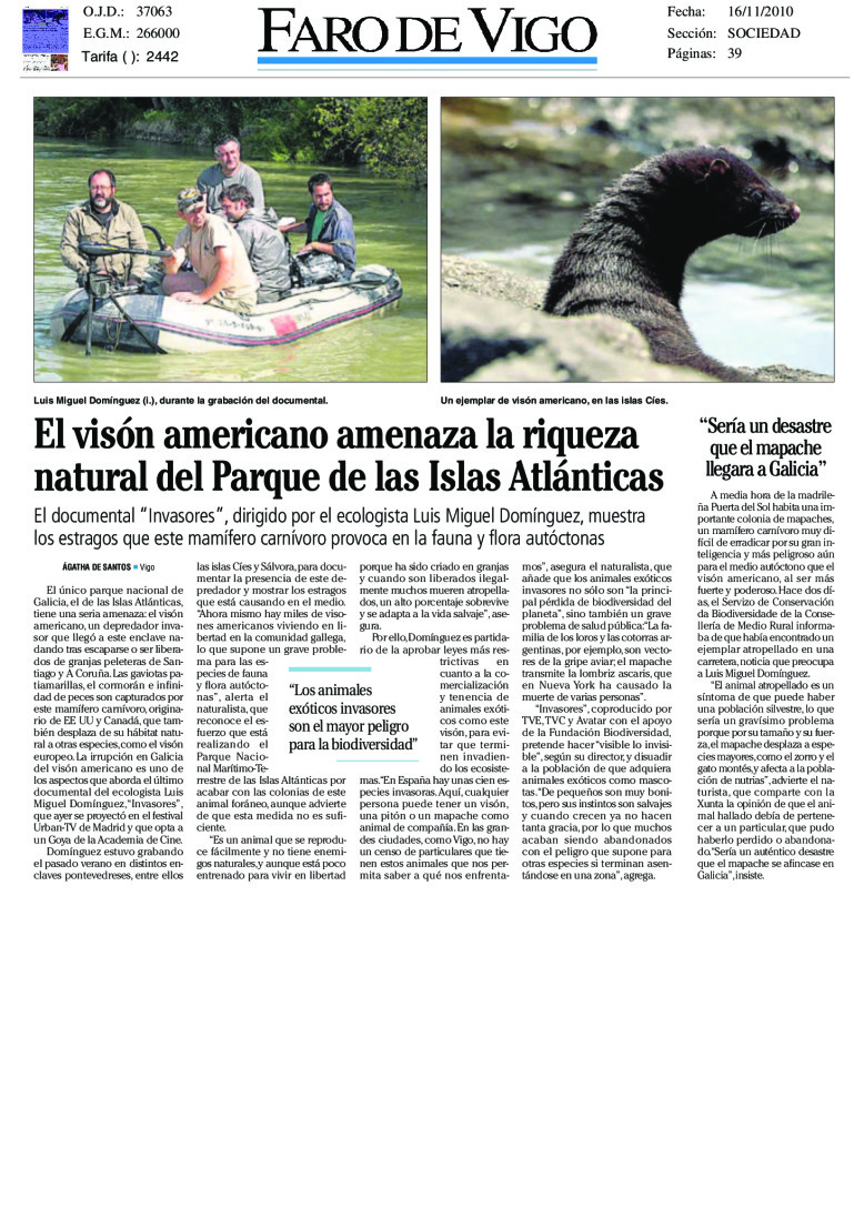 miniatura pdf