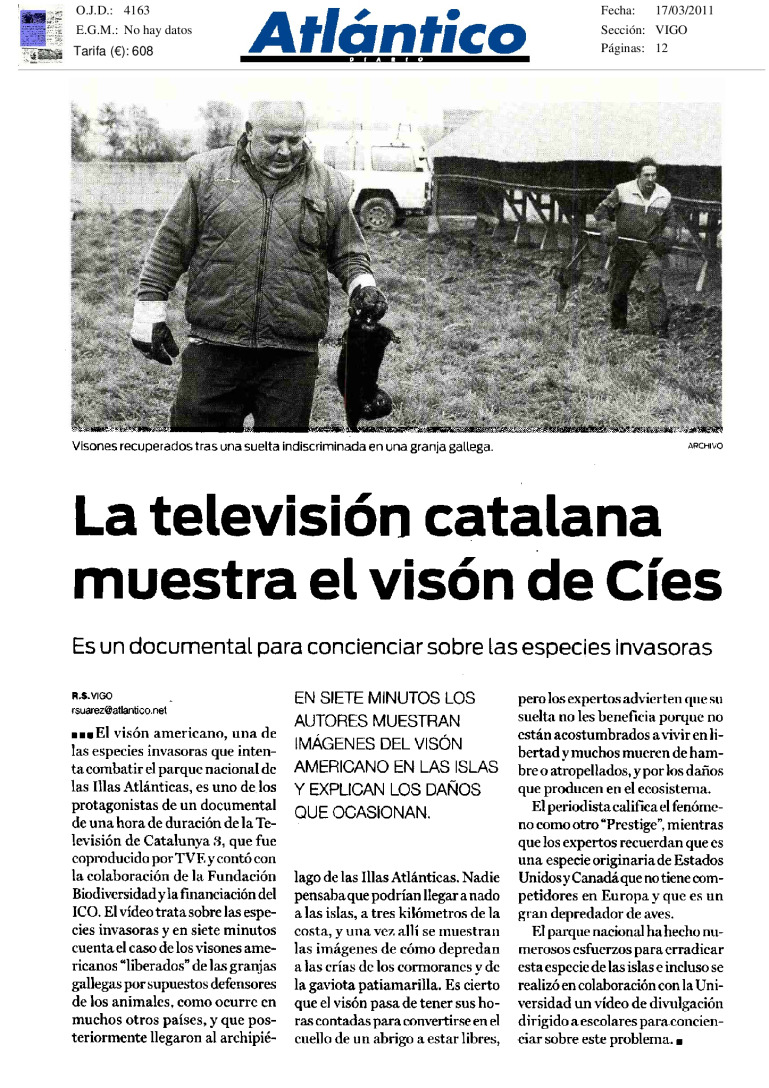 miniatura pdf