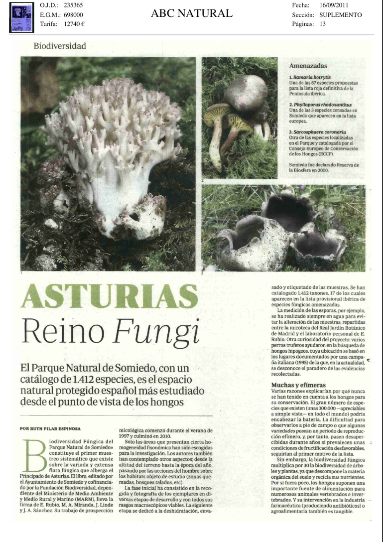miniatura pdf