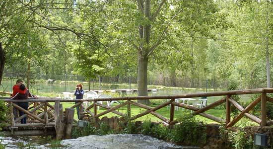 Paseantes disfrutando de un área de recreo en un entorno arbolado