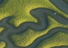 The exhibition Fractal Harmony of Doñana and the Marshes is open to the public