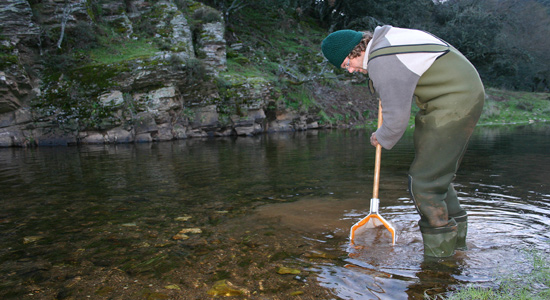 Estudio ecológico de la cuenca del río Guadalimar y divulgación de resultados
