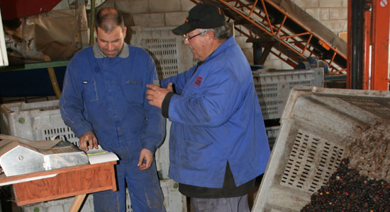 Dos operarios de una planta de producción de aceite de oliva