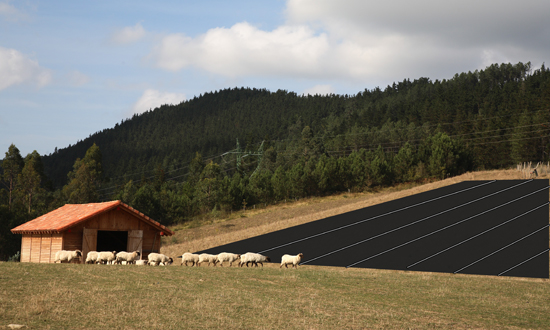 Paneles solares instalados en una granja