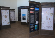 “The Writing of Animals” opens its doors in León