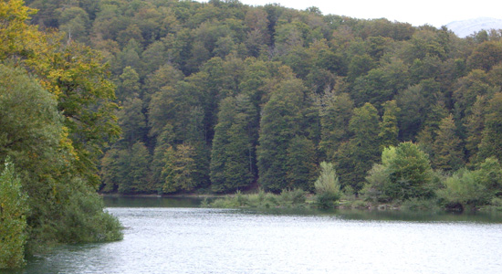 LOGIVERDE