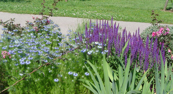 Plantas decorativas diversas en un jardín