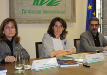 Determinación de aguas marinas de importancia ecológica en zonas de exclusión marítima del Atlántico Sur y el Mediterráneo español para una eventual incorporación a la Red Natura 2000