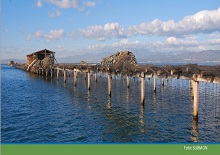 The Beaches, Volunteering and Land Stewardship programme is launched