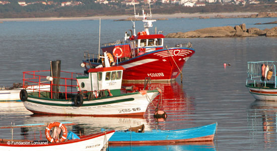 Barcos pesqueros anclados en un puerto de Galicia
