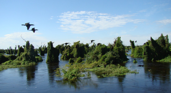 Reserva de la Biosfera Trinacional del Pilcomayo