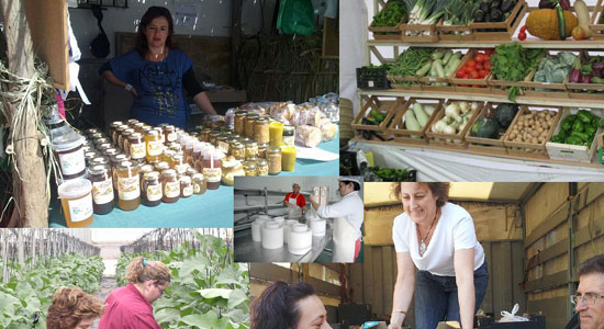 Plataforma de Consumo y Comercialización Responsable (PLACYCOR)