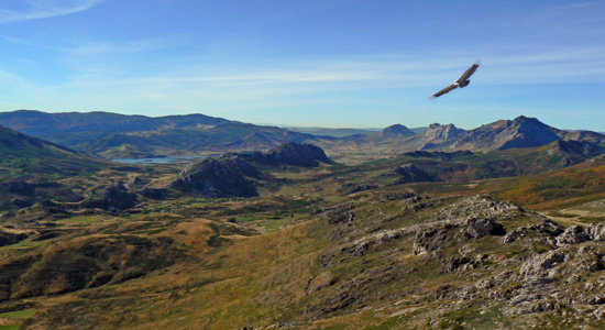 Gestión territorial y ambiental para la conservación y ordenación de las unidades paisajísticas del Alto Bernesga