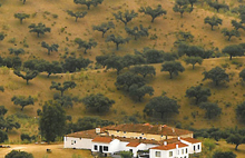 Consultation period on the Sustainable Rural Development Programme 2010-2014 now open