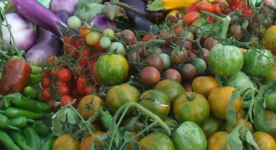 Pruductos de cultivo ecológico expuestos en un puesto de venta