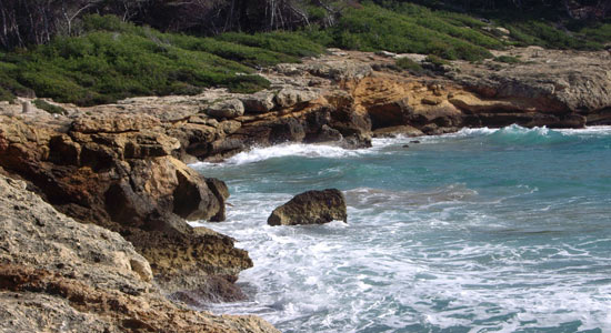 Conocimiento de los elementos de gestión para la protección formal a nivel marítimo-terrestre de Punta de la Móra-Tamarit