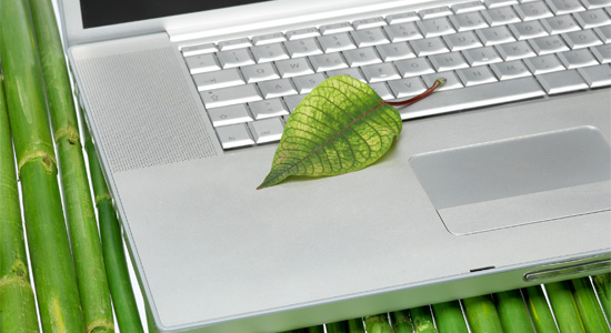 Un ordenador portátil sobre una mesa de cañas de bambú verde y una hoja verde en el teclado