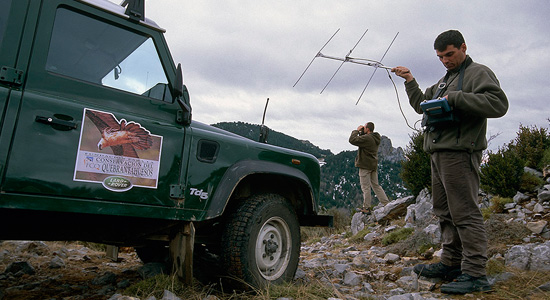 Programa de actuaciones para la conservación del quebrantahuesos en el Norte de España