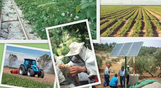 Mosaico de fotos sobre agricultura