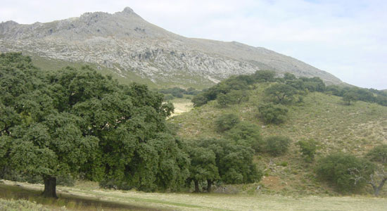 Paisaje del Parque Natural de las Sierras Subbéticas