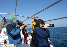 INDEMARES partners meet in Barcelona for a workshop on seabirds