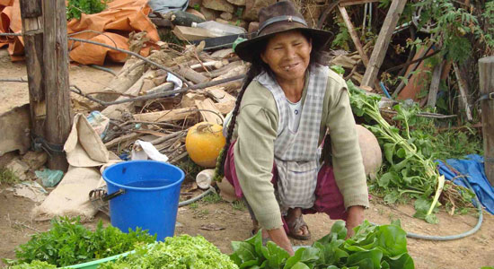 Una indígena vendiendo verduras