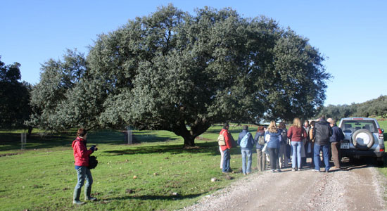Excursionistas en el campo