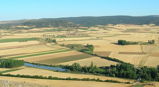 Paisaje de parcelas de campo cosechado con un río que los atraviesa