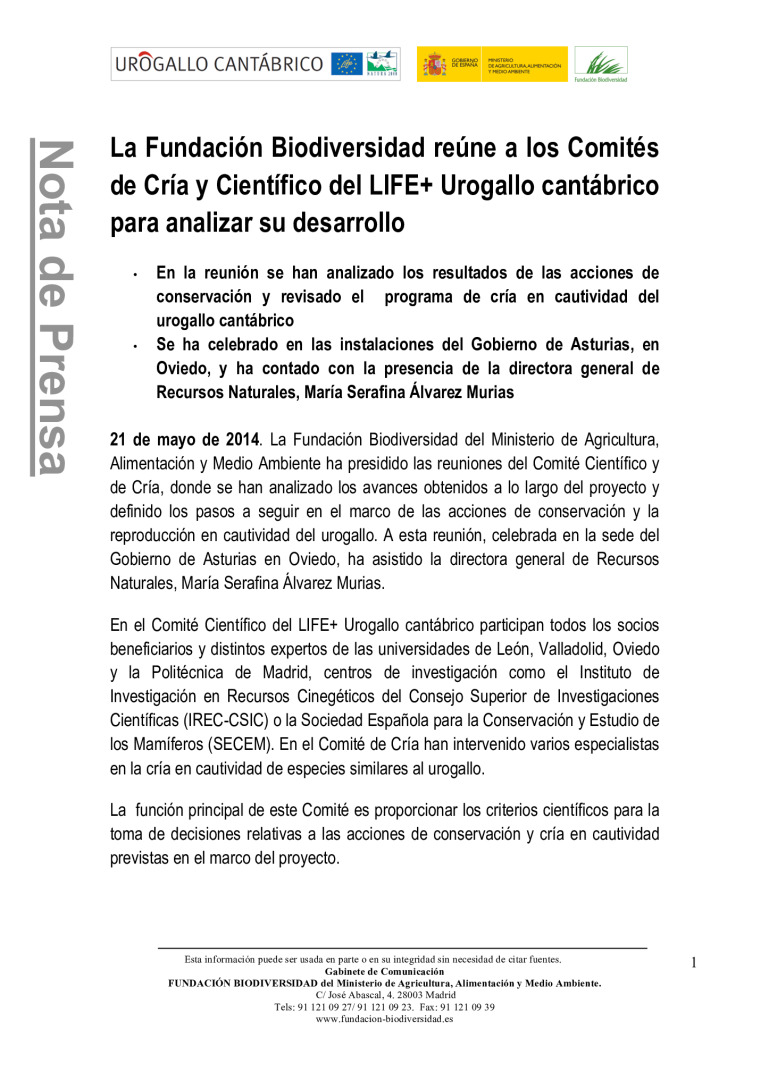 miniatura pdf