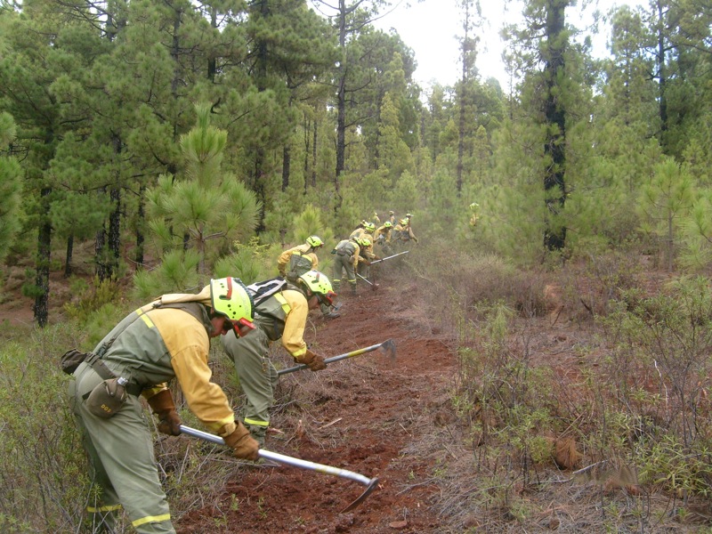 Labores de prevención de incendios