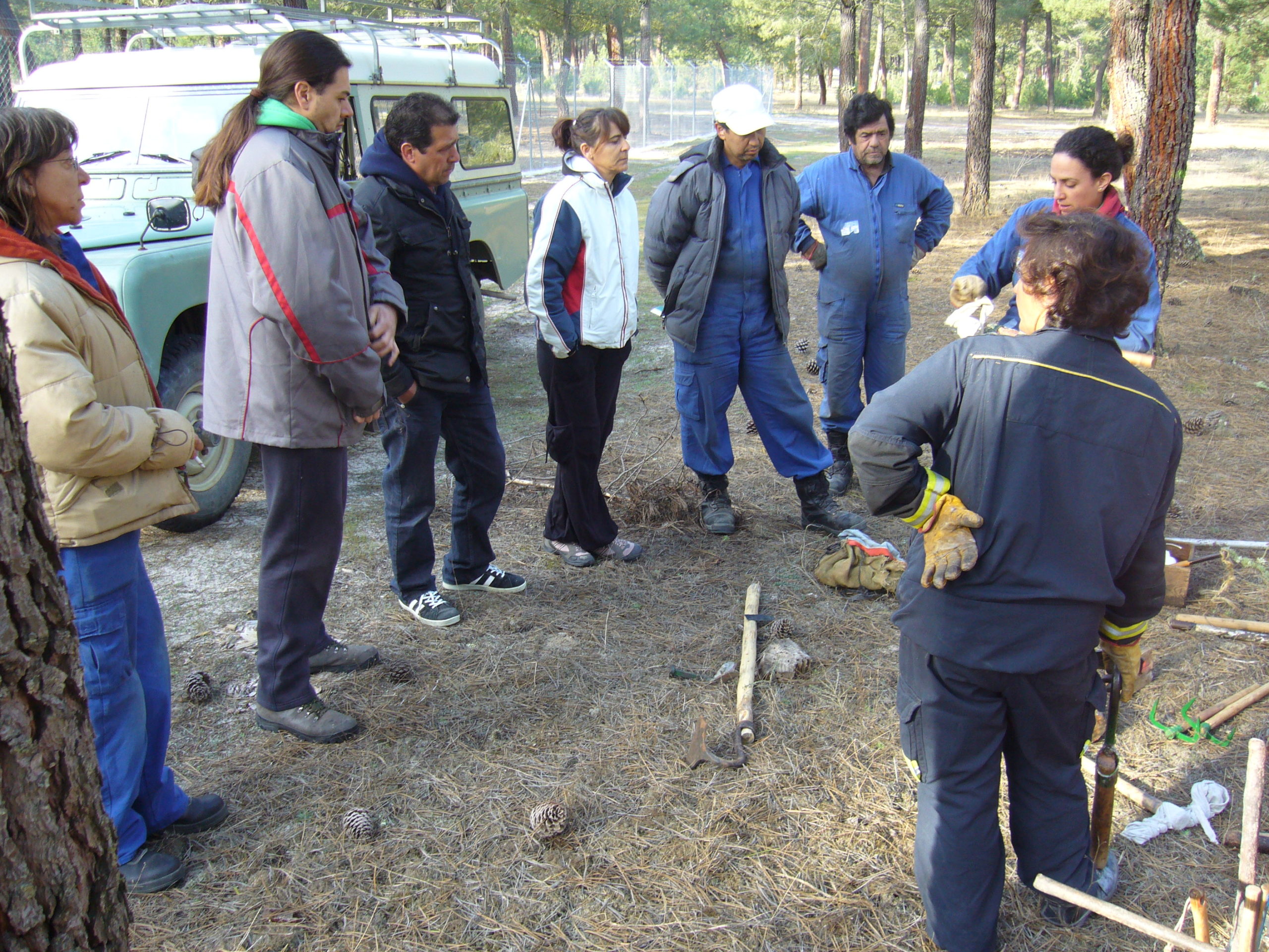 RESIN@ES, pinares sostenibles y empleo