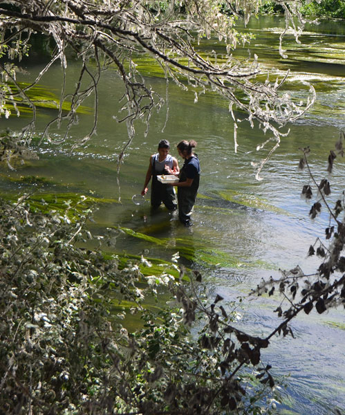 Proyecto Río Henares 2014