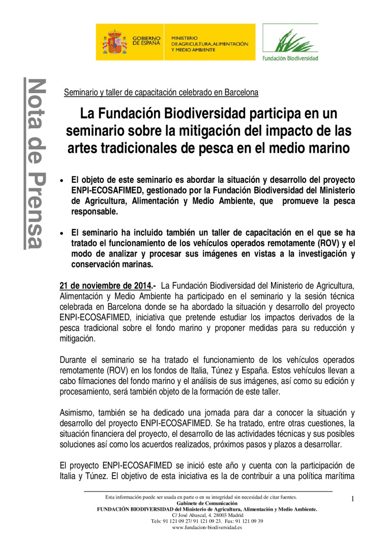 miniatura pdf