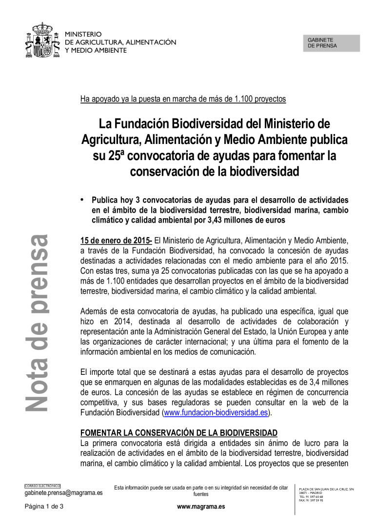 miniatura pdf