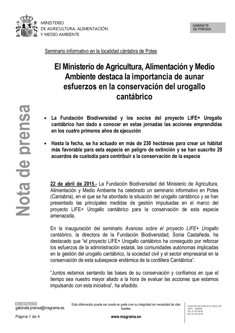 miniatura pdf