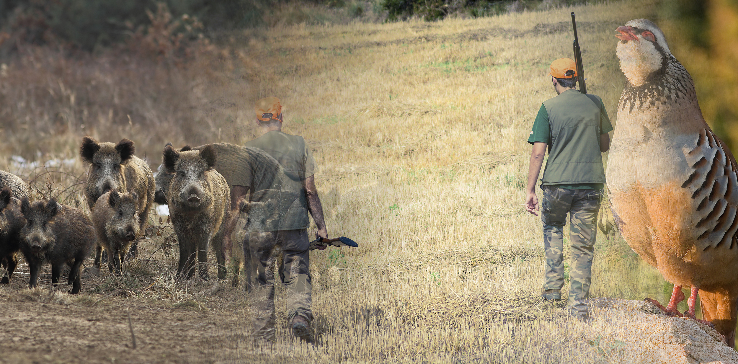 Potencial del movimiento asociativo cinegético para conservar la biodiversidad